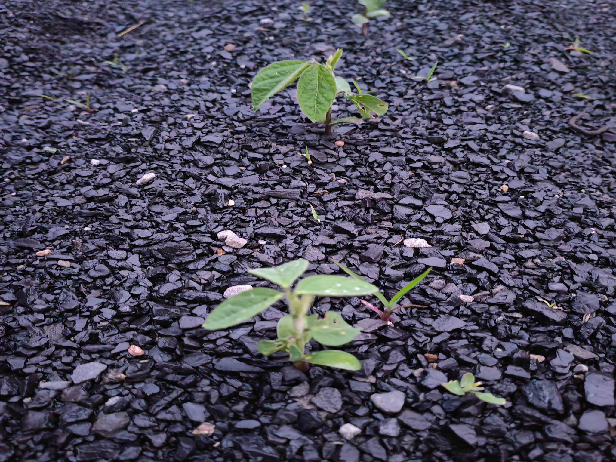 微信圖片_20240622141214