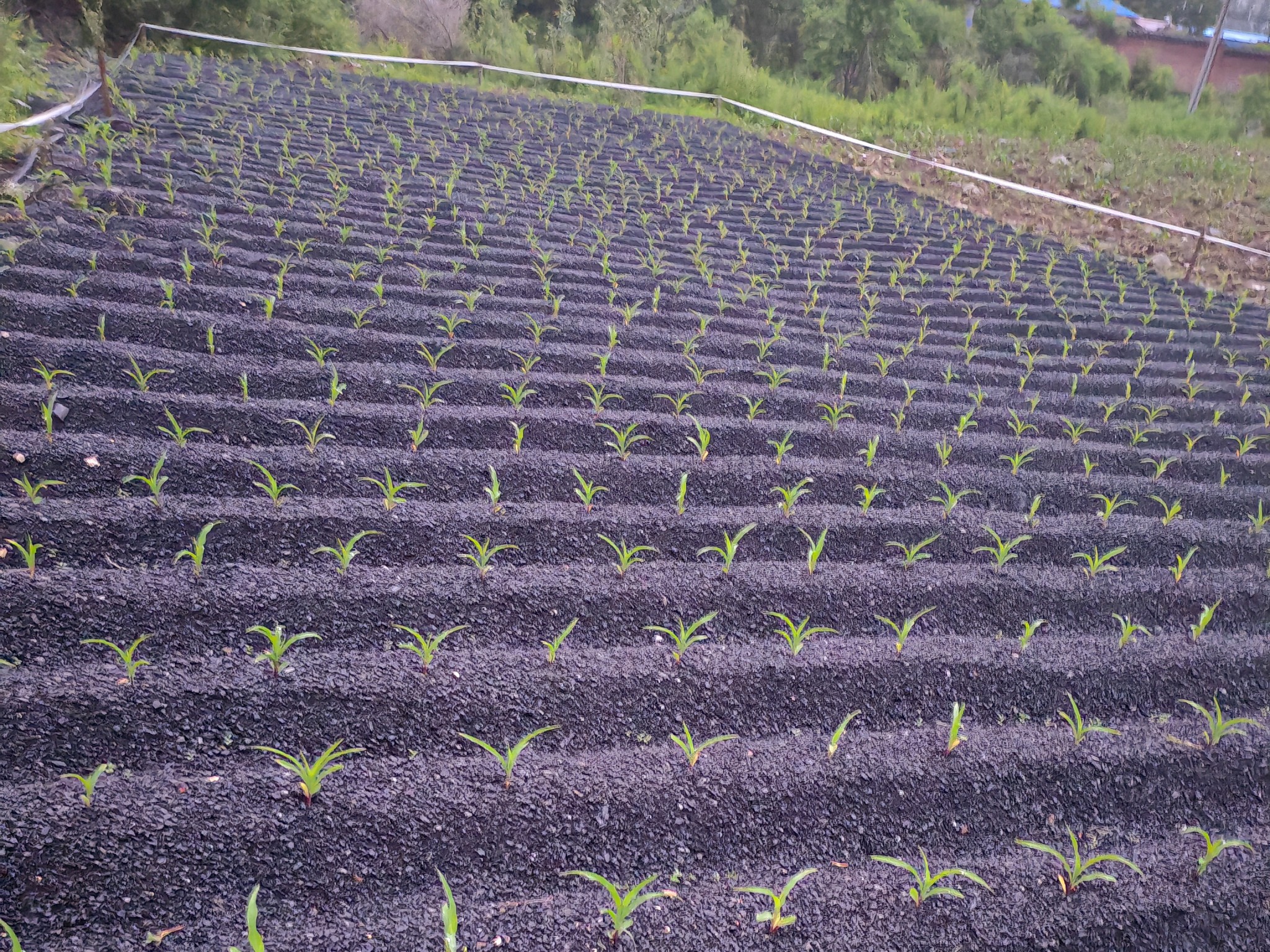 微信圖片_20240622141120