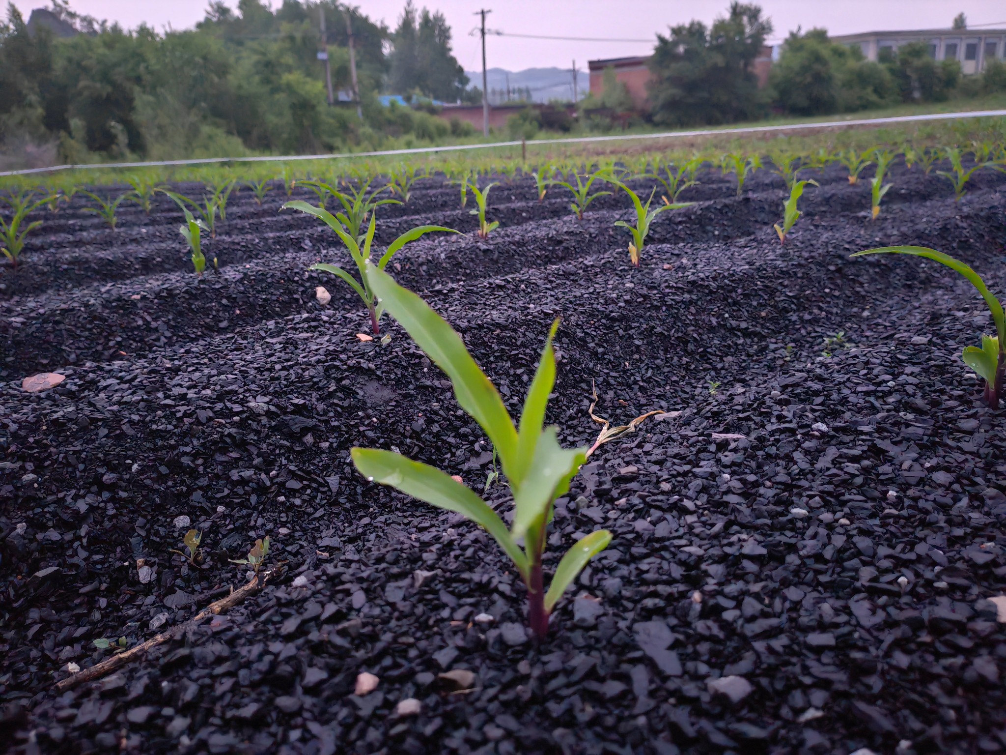 微信圖片_20240622141154