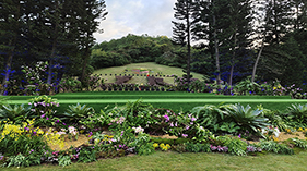 仙湖植物园封面