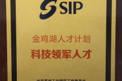 獎章