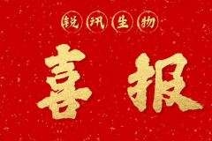 圖片3