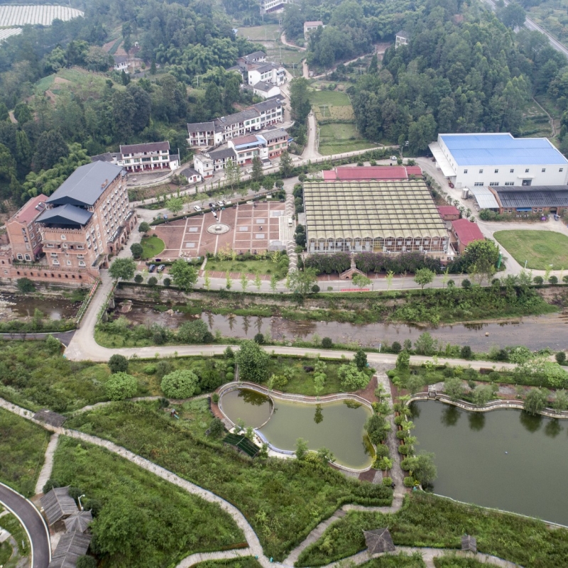 DJI_0019