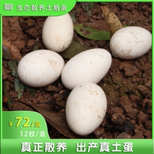 d0a03ceabbb0f93617b97ec98a92051
