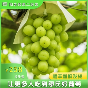 375a796c7ae8b1e6e84a547d010dde2