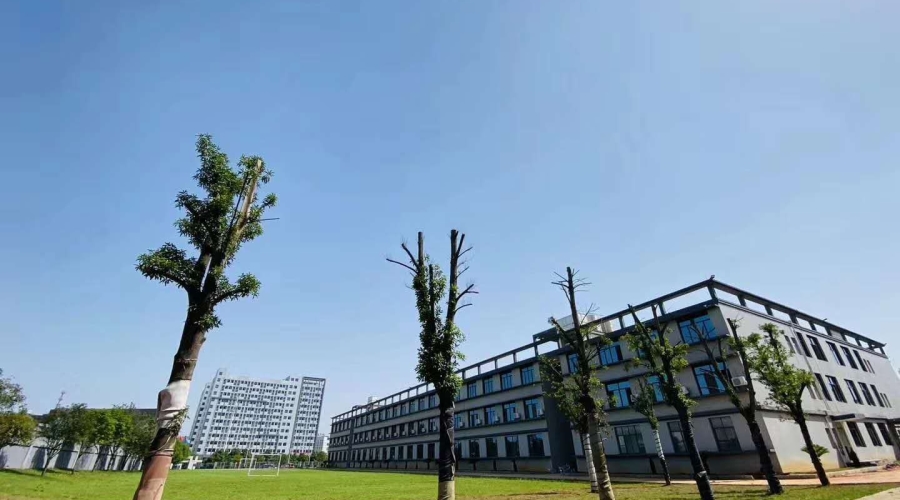 mmexport1630542457131