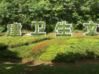融創(chuàng)植物字