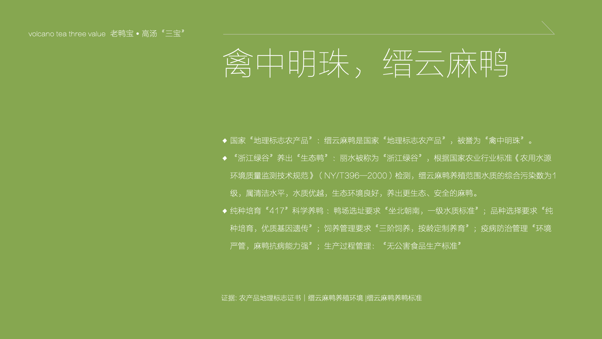 陳江波老鴨煲品牌策劃設計-餐飲vi設計-杭州達岸品牌策劃設計公司