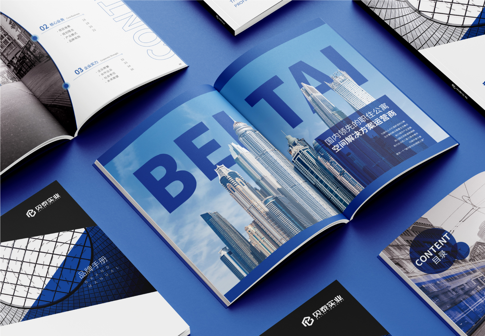 貝泰集團公寓設計-公寓設計-杭州達岸品牌策劃設計公司