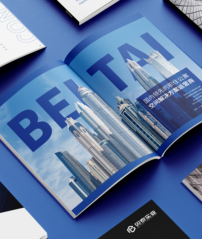 企業(yè)宣傳冊設(shè)計(jì)-達(dá)岸品牌營銷設(shè)計(jì)