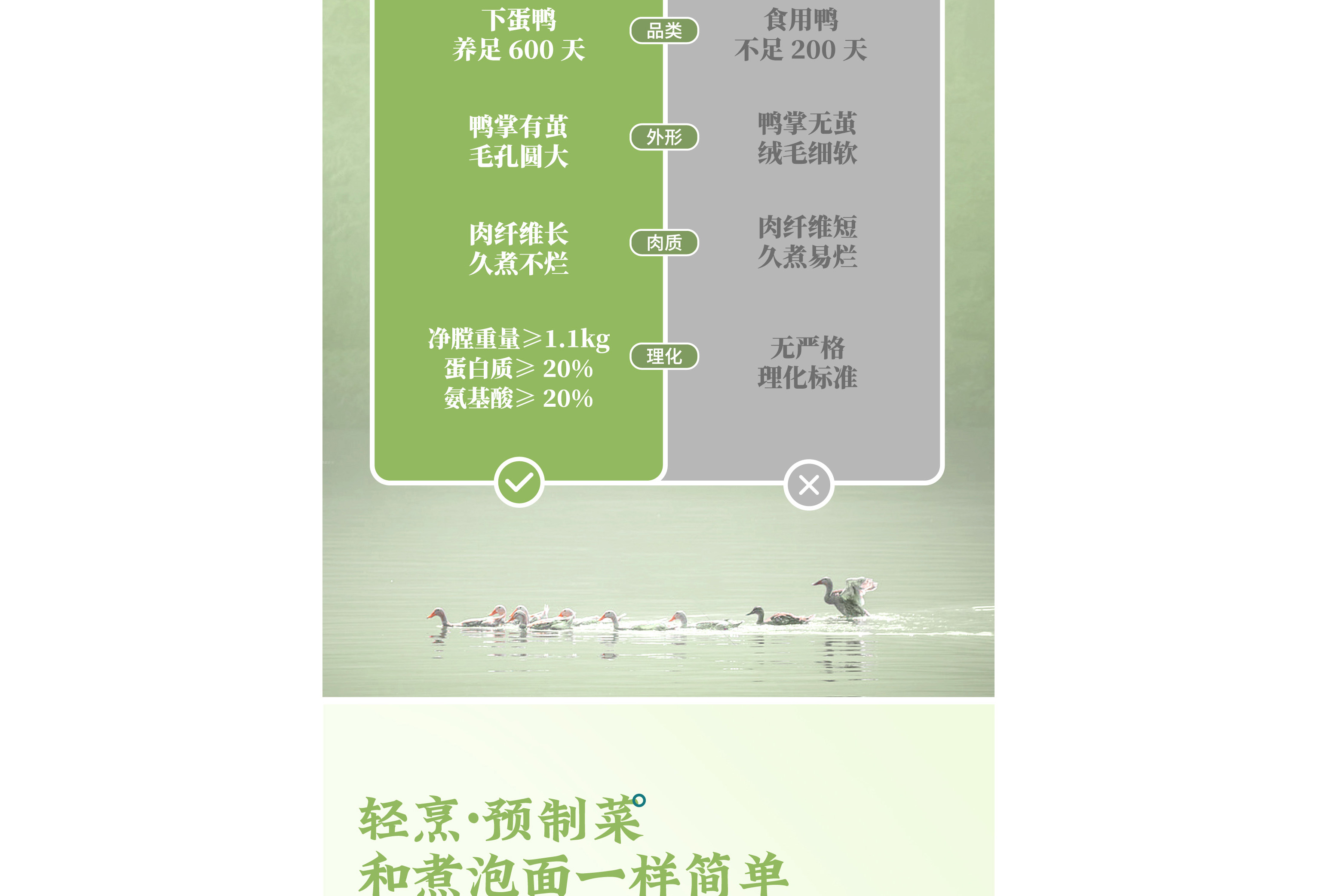 陳江波老鴨煲品牌策劃設計-餐飲vi設計-杭州達岸品牌策劃設計公司