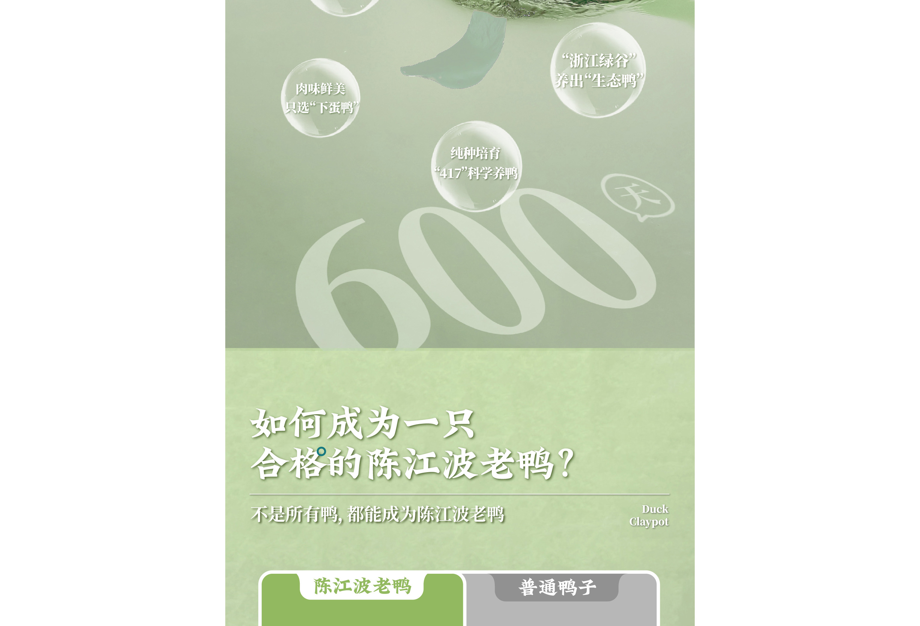 陳江波老鴨煲品牌策劃設計-餐飲vi設計-杭州達岸品牌策劃設計公司
